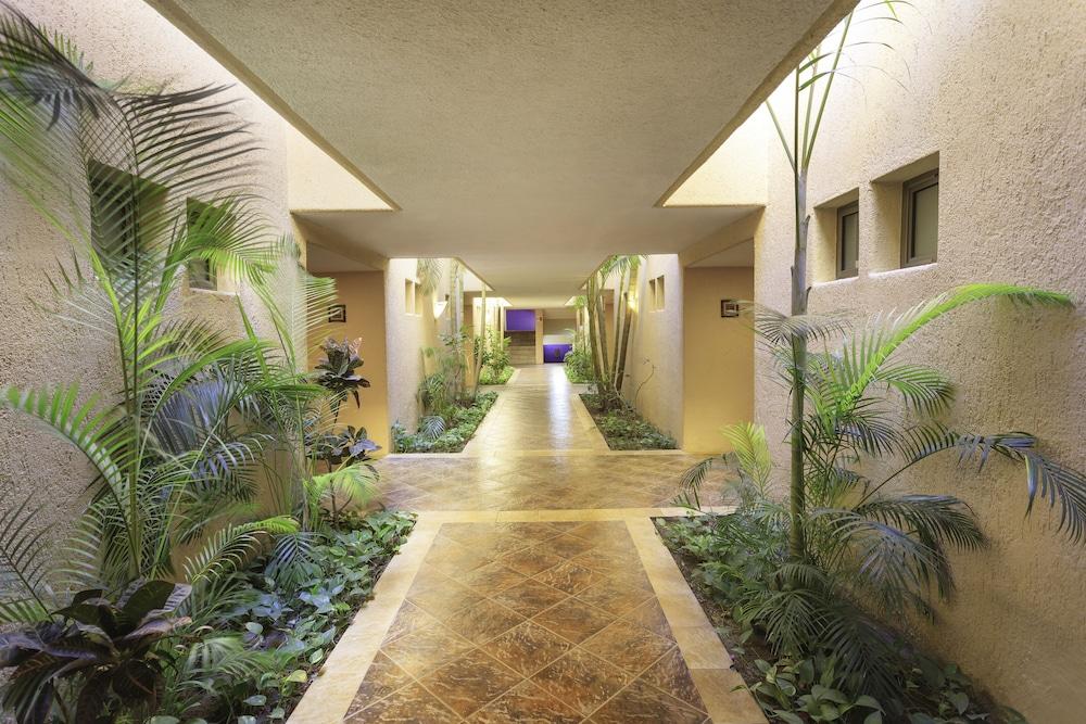 Hotel Los Patios Κάβο σαν Λούκας Εξωτερικό φωτογραφία